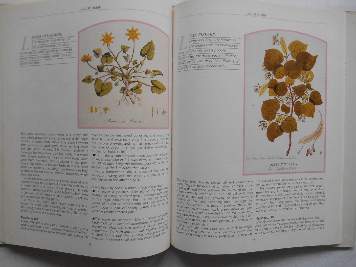 Philippa Back - The illustrated herbal