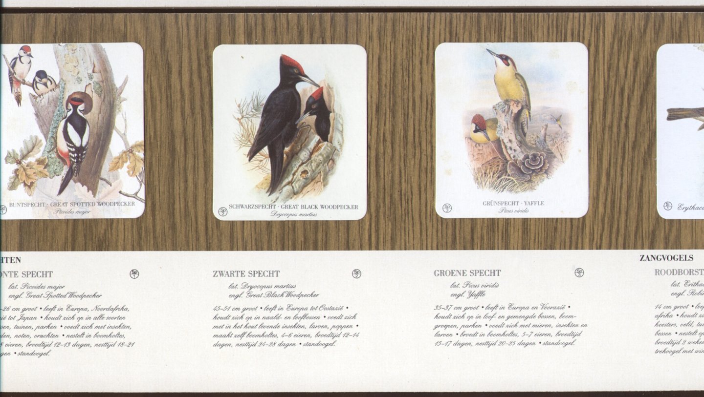Gould, John (zie SCANS!) - Onze Vogelwereld (Vogel-Herkenningstableau naar oude lithografieën van John Gould, 1804-1881)