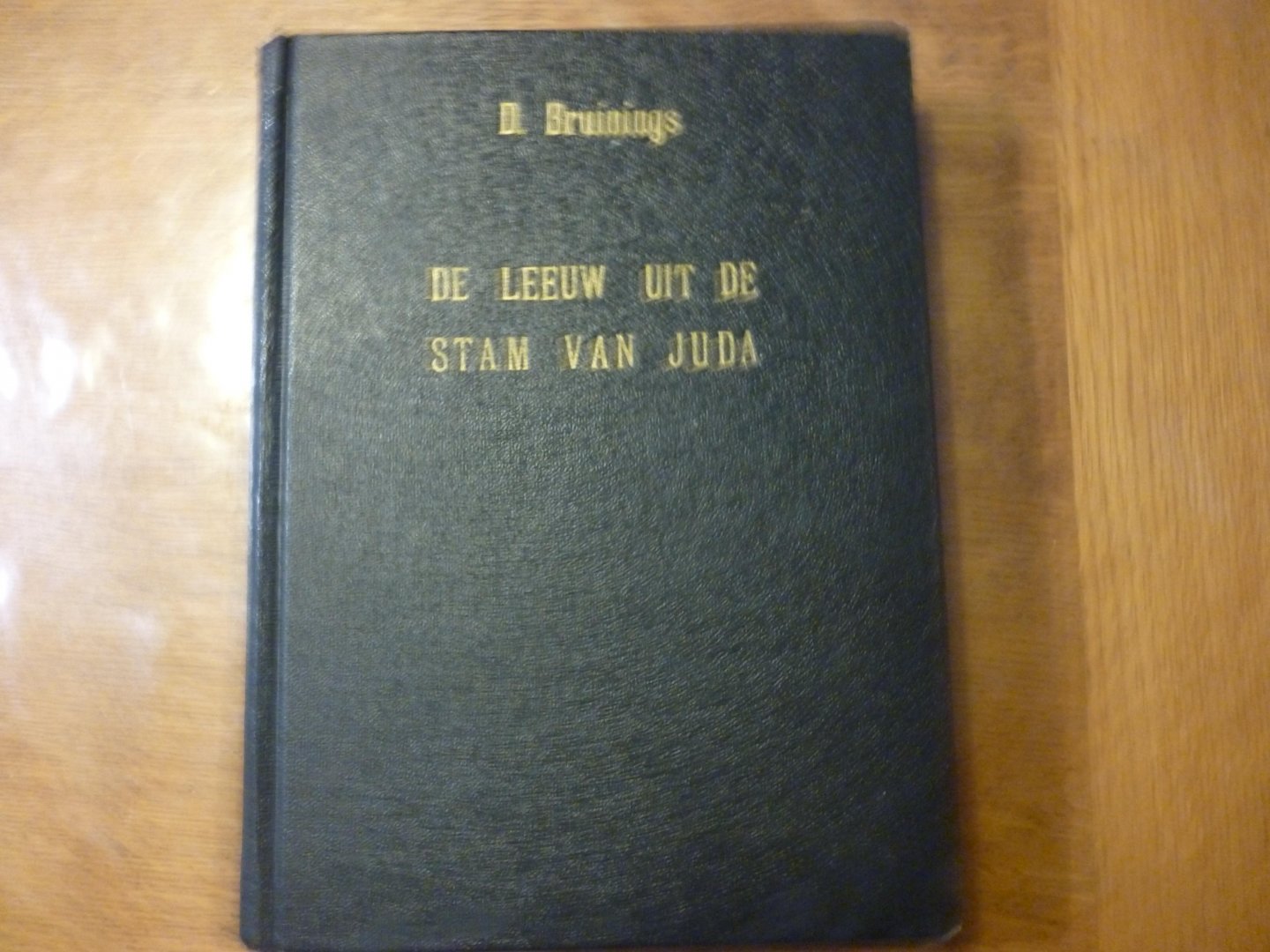 Bruinings D. - De leeuw uit de stam van Juda