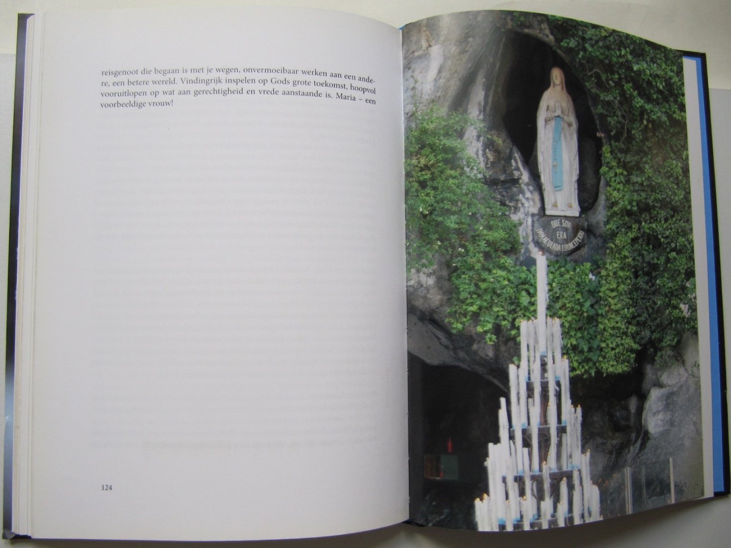 Hans Bouma - Het wonder van Lourdes / waar hemel en aarde elkaar raken