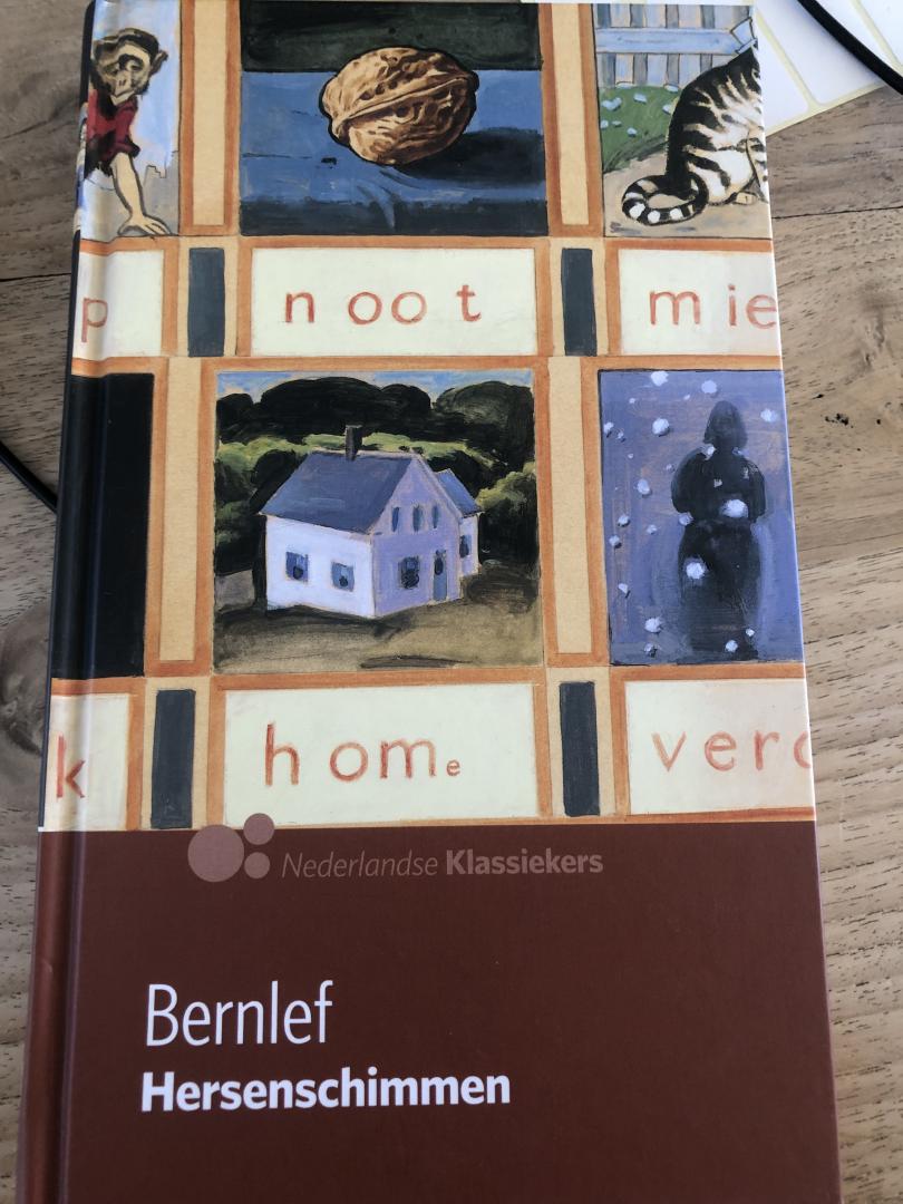 Bernlef - Hersenschimmen