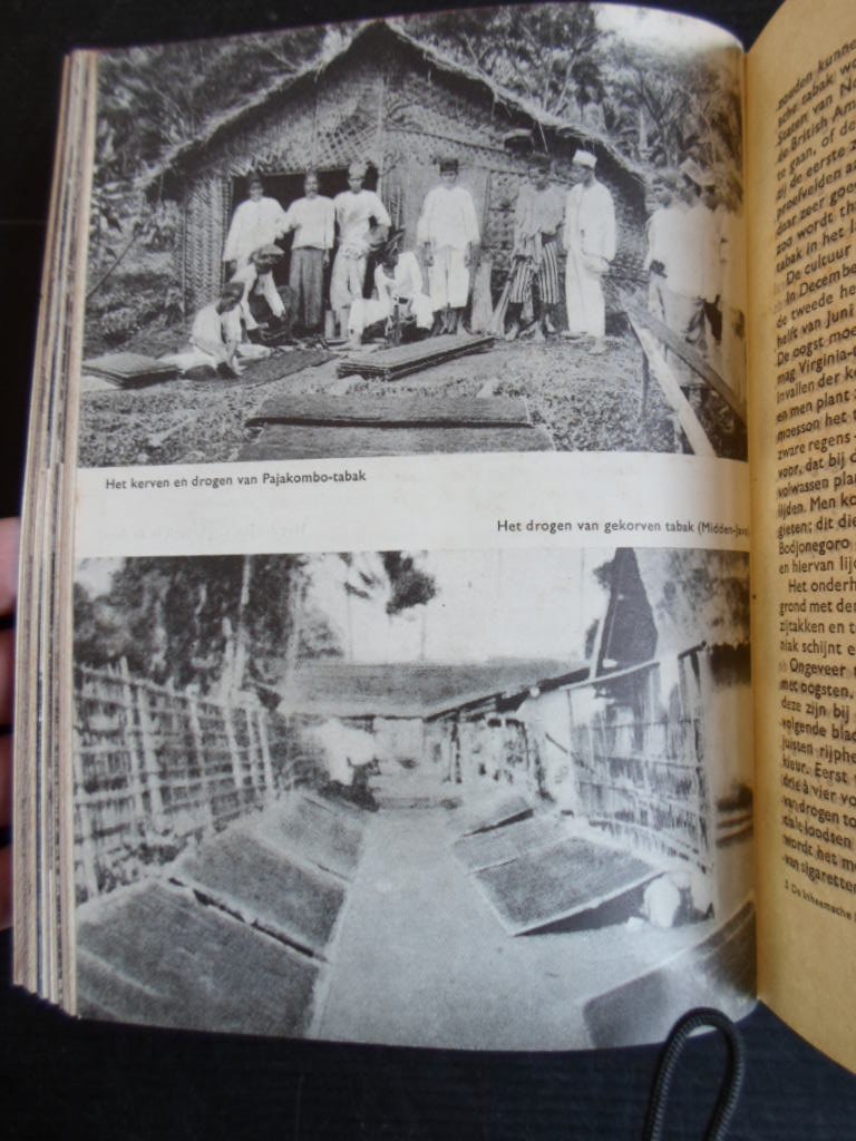 Hall, Dr.C.J.J.van - Insulinde, De inheemsche landbouw