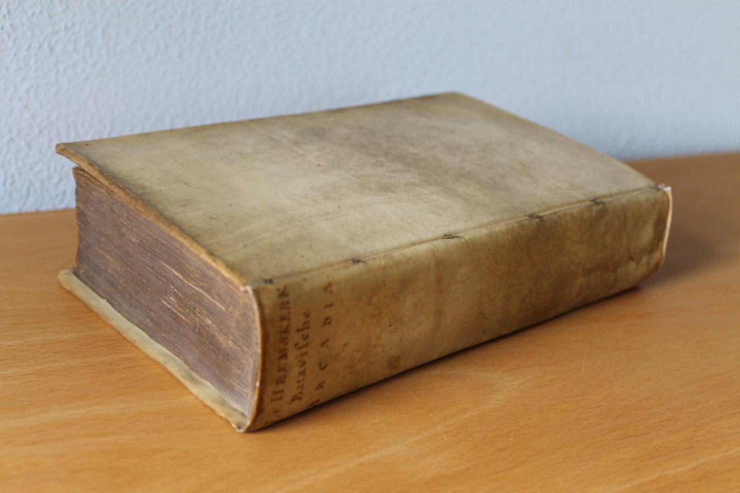 HEEMSKERK, J. van - Batavische Arcadia, waar in Onder 't Loofwerck van Liefkoserye, gehandelt werdt van den oorsprong van 't Oudt Batavien, Vryheidt der voorige en volgende Bataviers, vrye zee, zee-vonden, Vinders van verborgen schatten, Verbeurten van goederen, ...