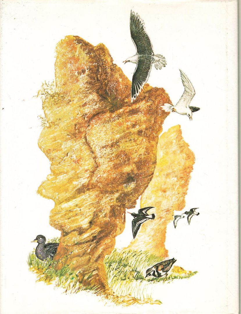 Linnaeus, Carolus; ingeleid door D. Hillenius, illustraties Stephen Lee - Reizen