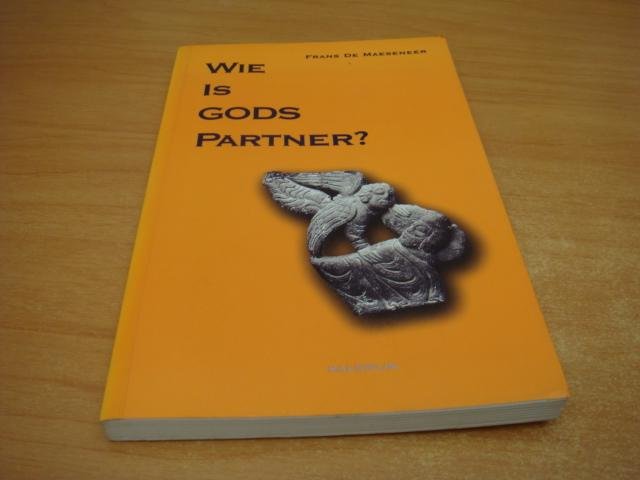 Maeseneer, Frans de - Wie is Gods partner? - Commentaren bij de lezingen van de Matteuscyclus