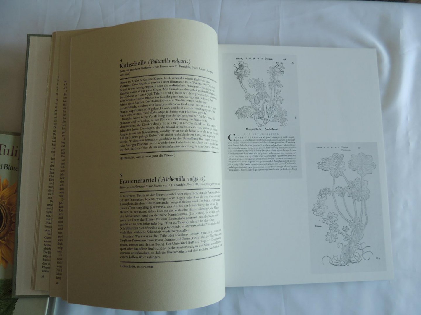 Coats, Alice - Kaiserkron und Tulipan die Schönheit von Blumen und Blüten. Tafeln aus Pflanzenbüchern des 16. bis 19. Jahrhunderts