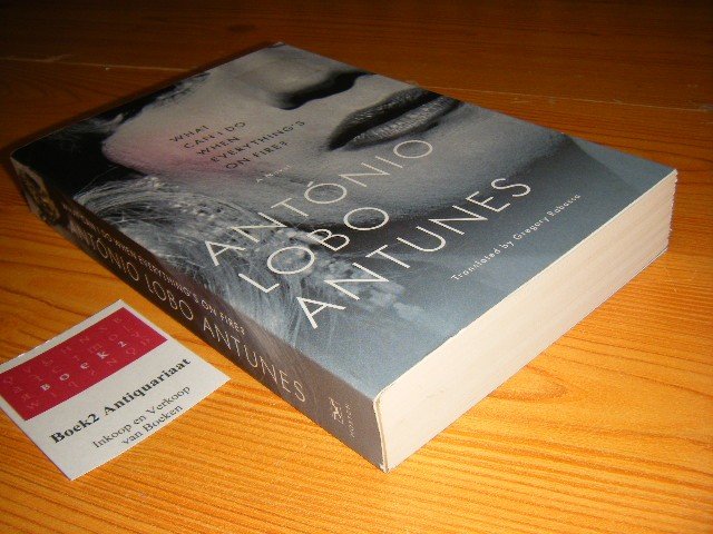 Lobo Antunes, Antonio - What Can i Do When Everything's On Fire? A novel