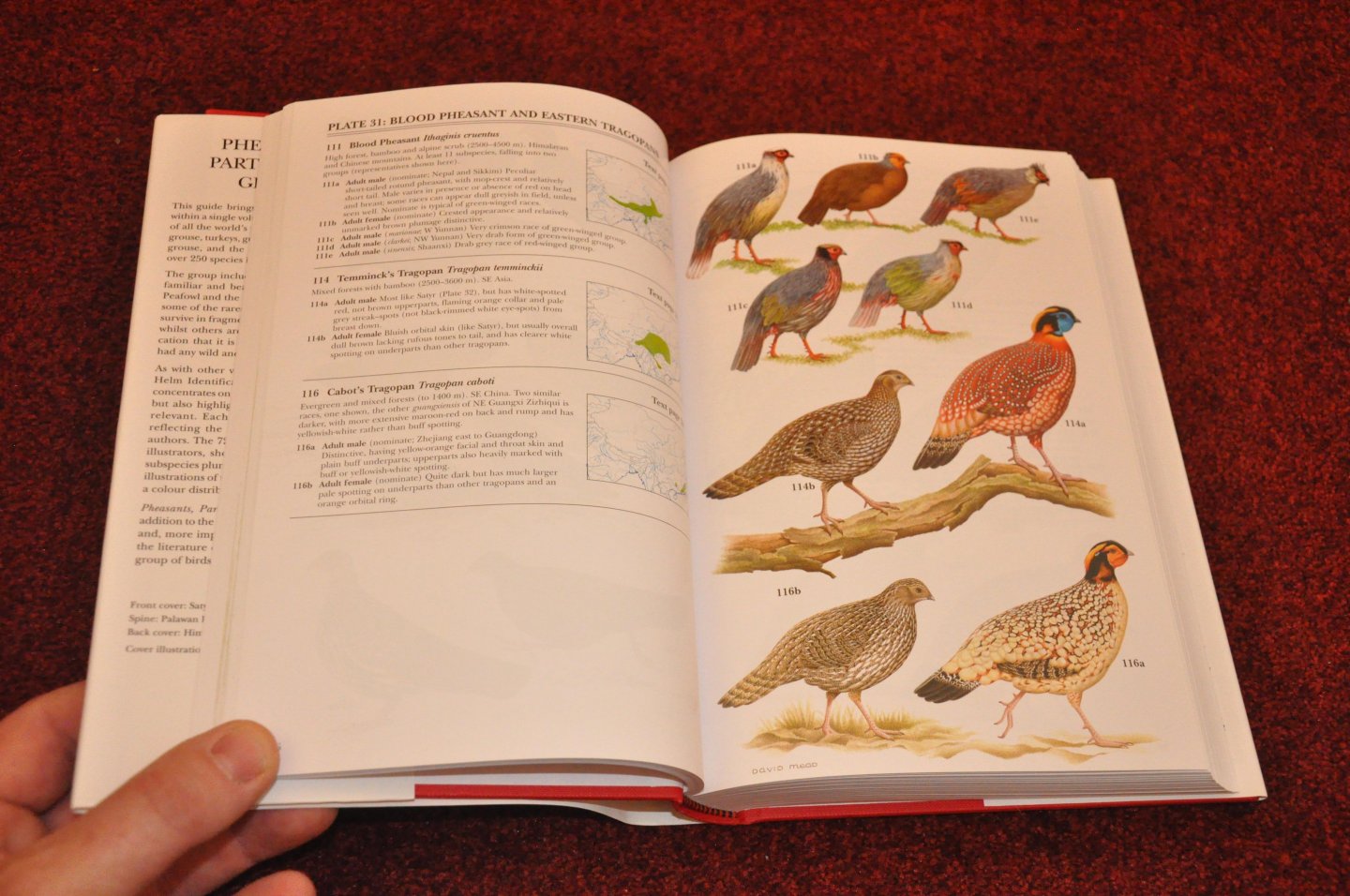 Madge, Steve / McGowan, Phil - Pheasants, Partridges and Grouse. Including buttonquails, sandgrouse and allies