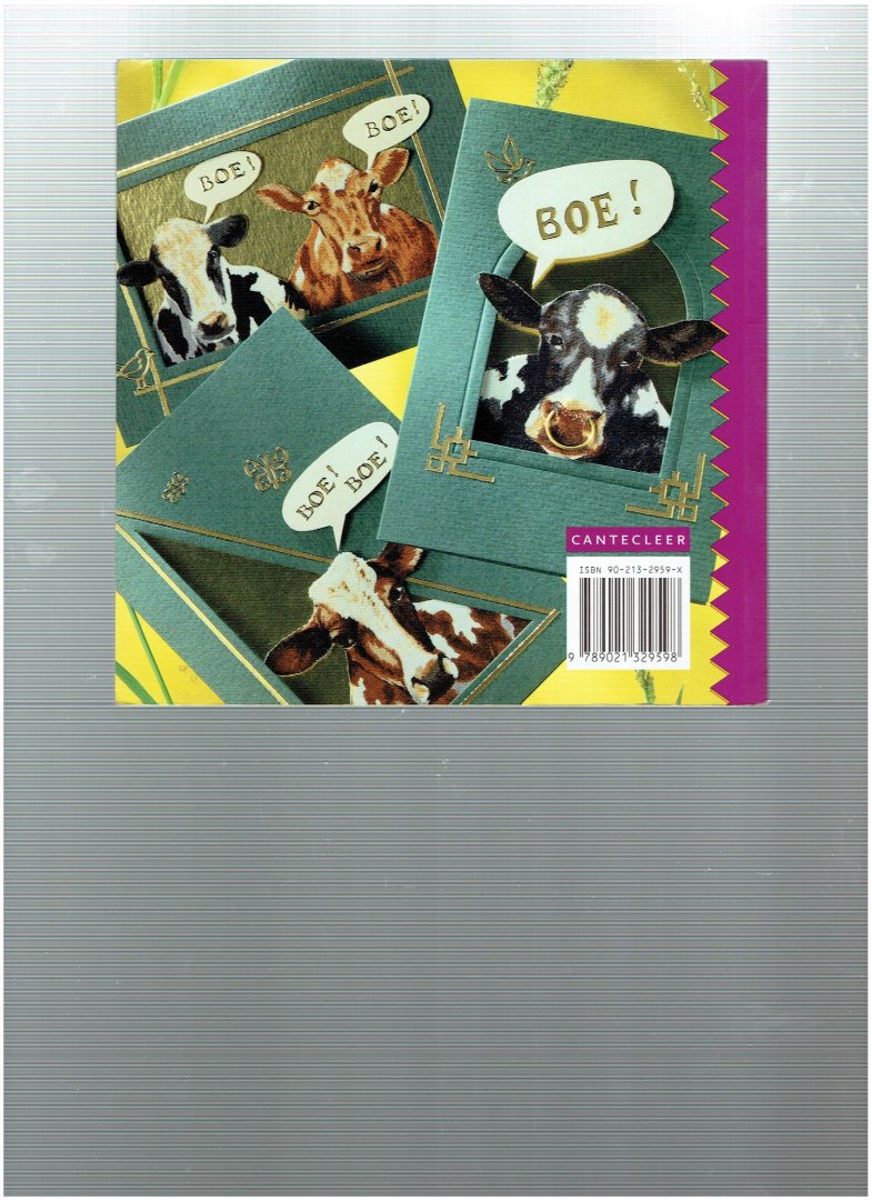 Dijkstra, J. - de mooiste stofjes op wenskaarten