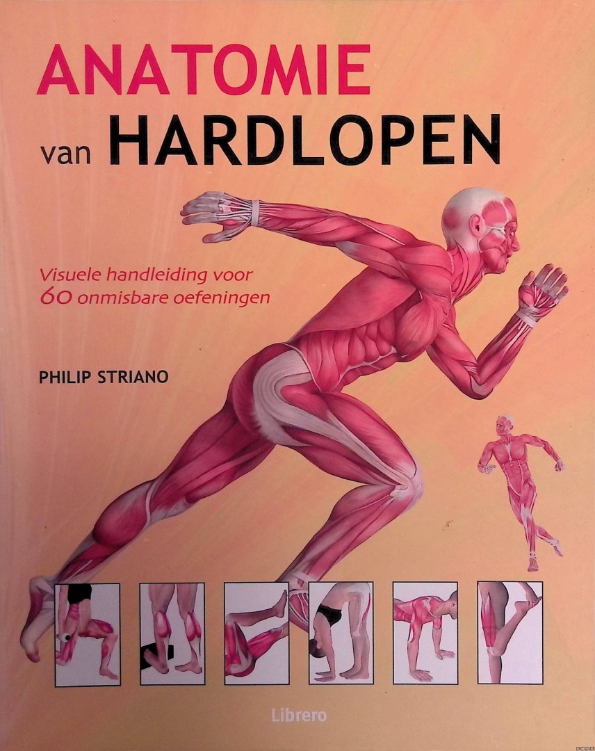 Striano, Philip - Anatomie van hardlopen: Visuele handleiding voor 60 onmisbare oefeningen