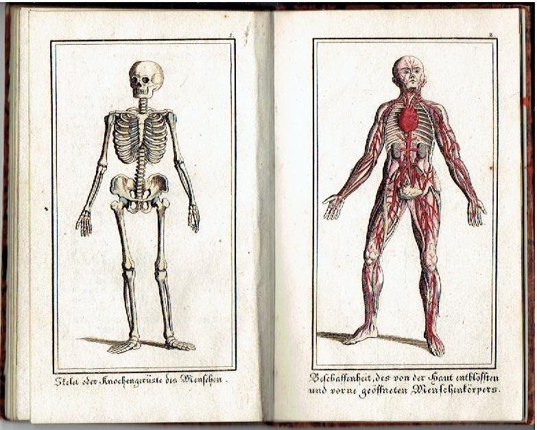 GRUBER, Ferdinand Joseph - Anschaulich gemachte Natur- und Körperlehre nebst einigen wichtigen Gesundheits-Regeln. Ein unterhaltendes Lese- und fassliches Unterrichts-Büchlein für die Jugend