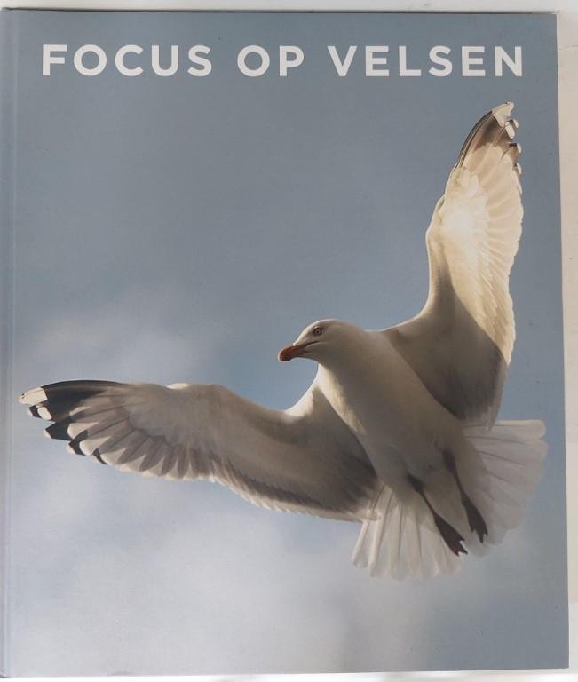 Lindhout, Marja/ Ruud Van Den Berg / Bart Boele / Johan Ensing; E.a. - Focus op Velsen
