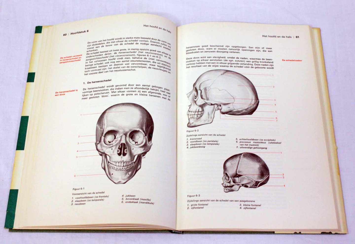 Diversen - Functionele anatomie, in goede handen, leergang voor de verpleegkunde  1e gedeelte