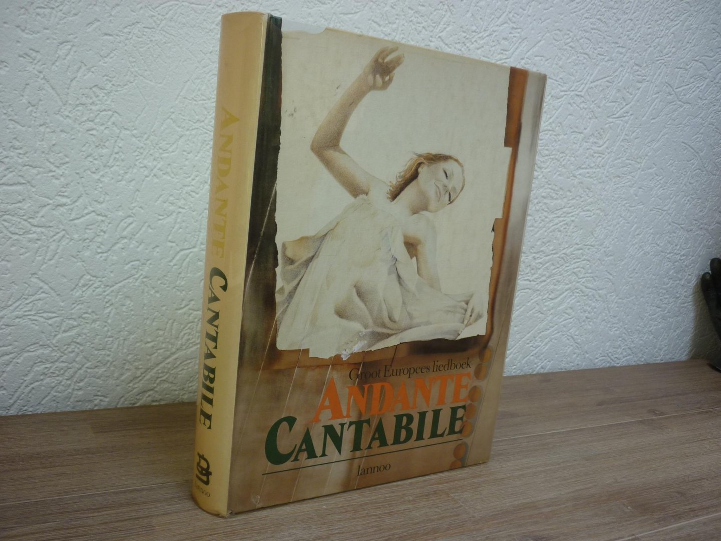 Dessel; Lode van / Johan Fleerackers - Andante Cantabile; Groot Europees liedboek