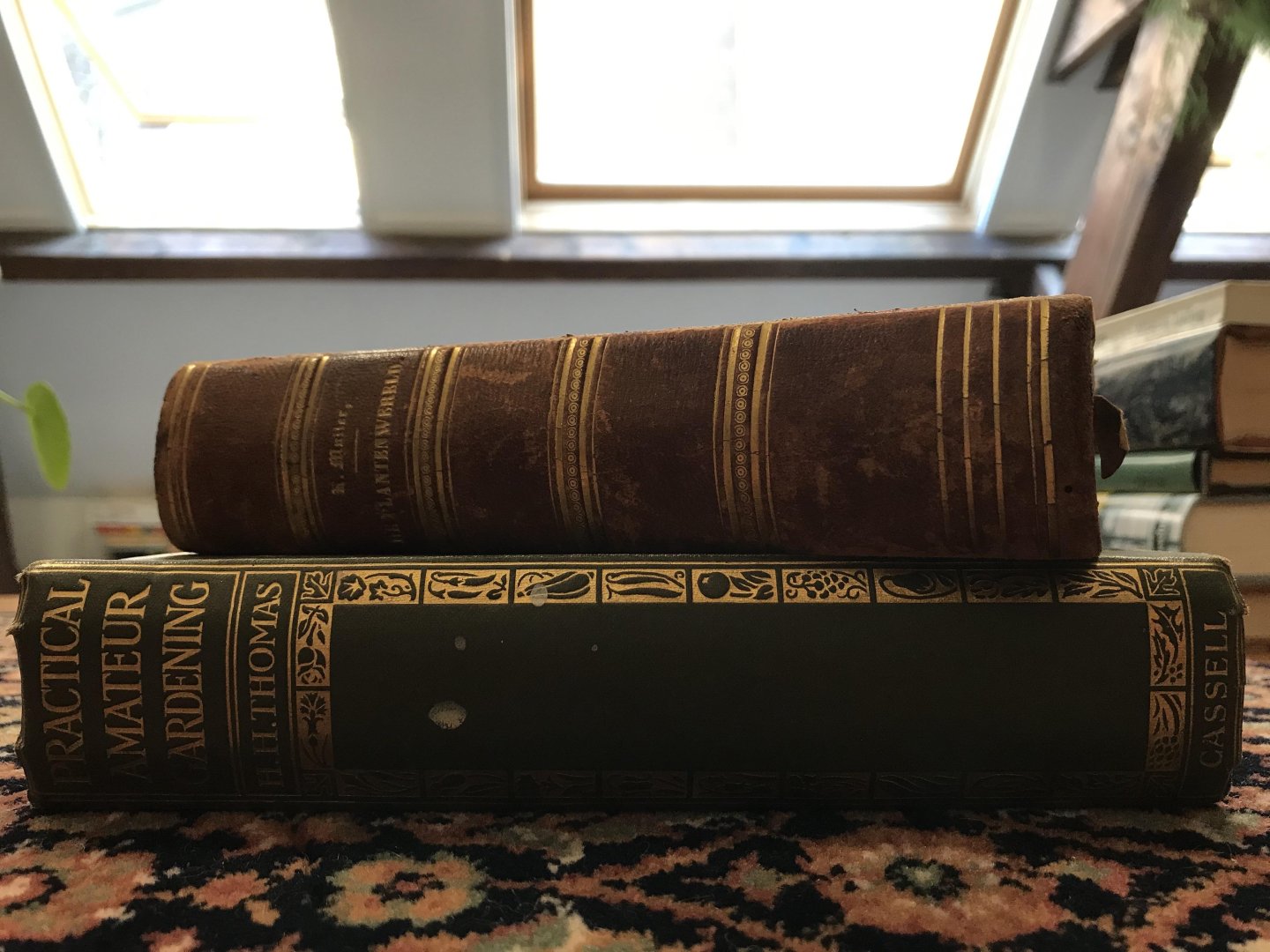 Thomas, H.H. - Practical amateur gardening