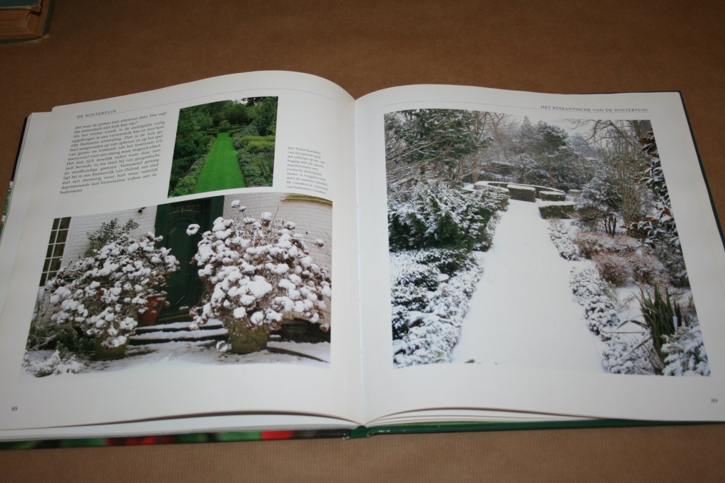 E Price - De Wintertuin  -- Vormgeving en beplanting voor een sfeervolle tuin in de winter