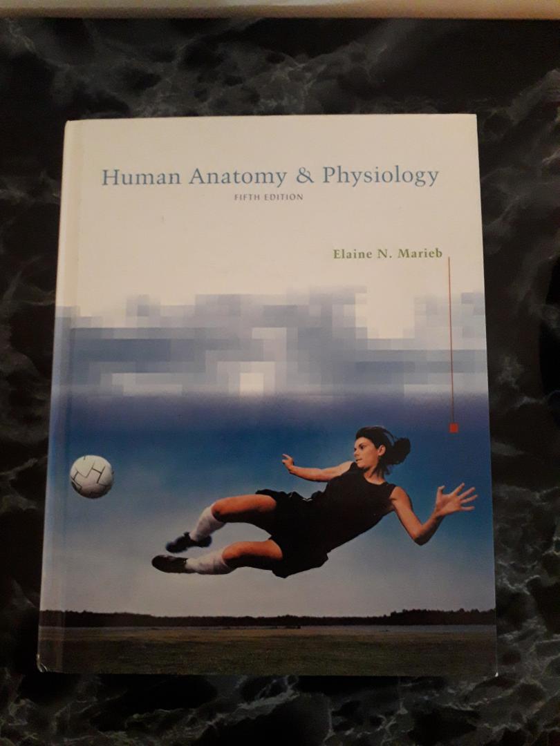 Marieb, E.N. - Human Anatomy & Physiology