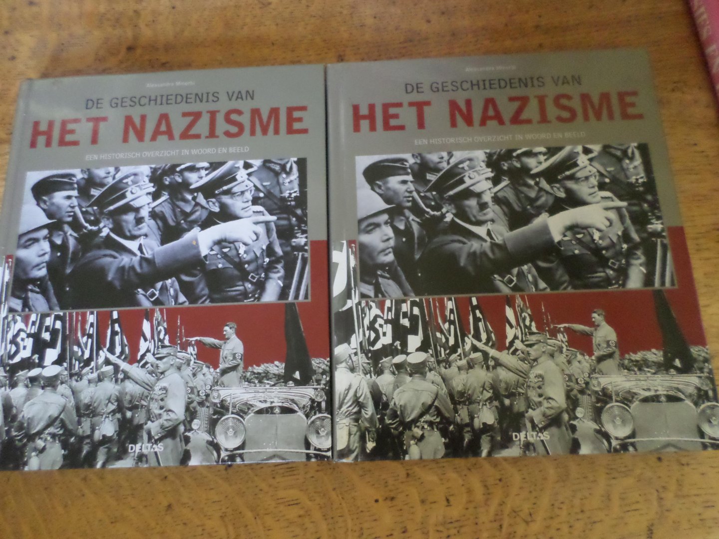 Minerbi, Alessandra, Minerbi - De geschiedenis van het Nazisme