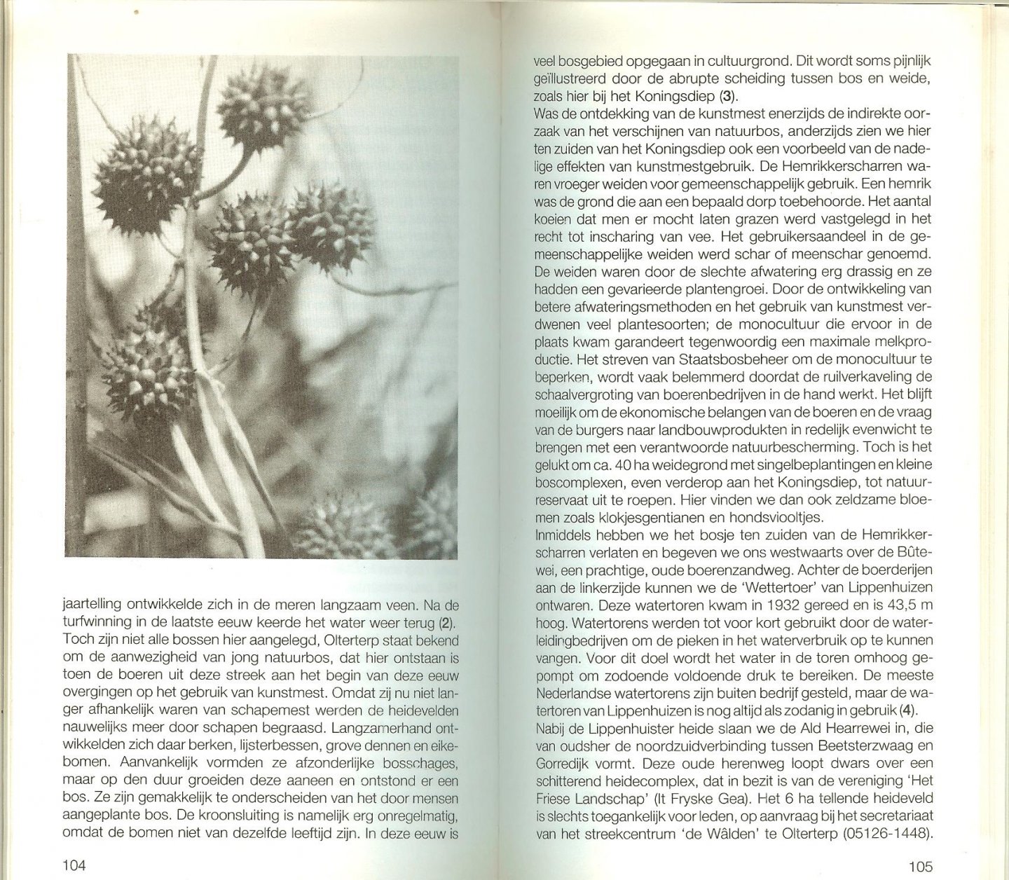 Thewissen M. T. en B. van Hapert met medewerking van J. Friedrichs  en Kaarten van M. Stenchlak - Friesland en de waddeneilanden ..  met routebeschrijvingen van 18 Wandeltochten van 9 - 18 kilometer lengte