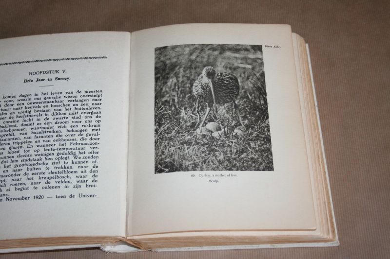 Dr. Charles E. Raven - Vogelleven in Duin en Veld