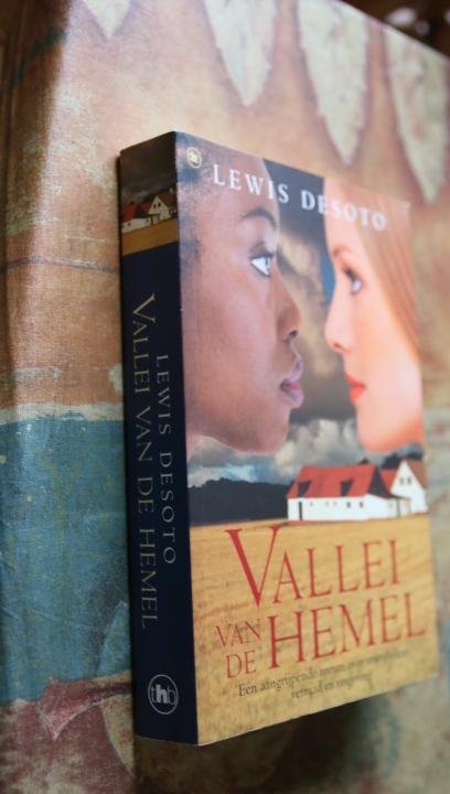 Desoto, Lewis - Vallei van de Hemel. Een aangrijpende roman over vriendschap, verraad en vergeving