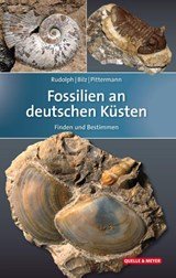Fossilien an deutschen Küsten - Finden und Bestimmen