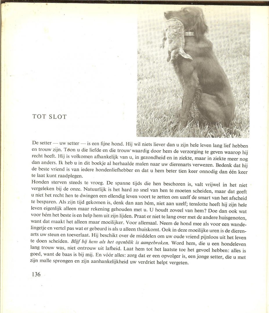 Rheenen, Jan van - De setter.