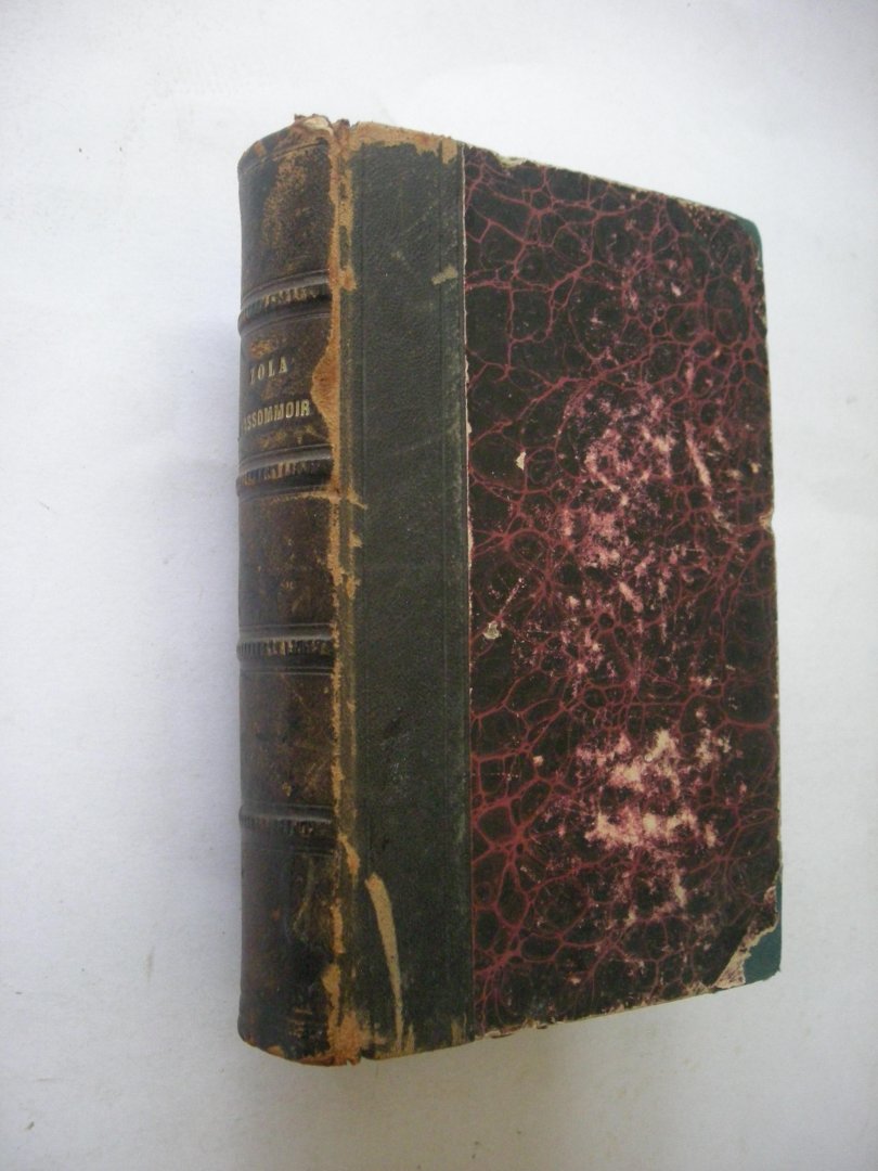 Zola, Emile - L'Assommoir. Les Rougon-Macquart.  Histoire naturelle et sociale d'une famille sous le second empire