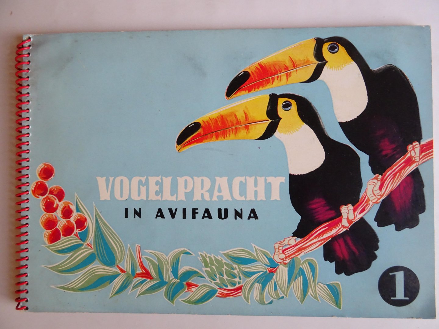 Wigman, A.B. - Vogelpracht in Avifauna. Deel 1.