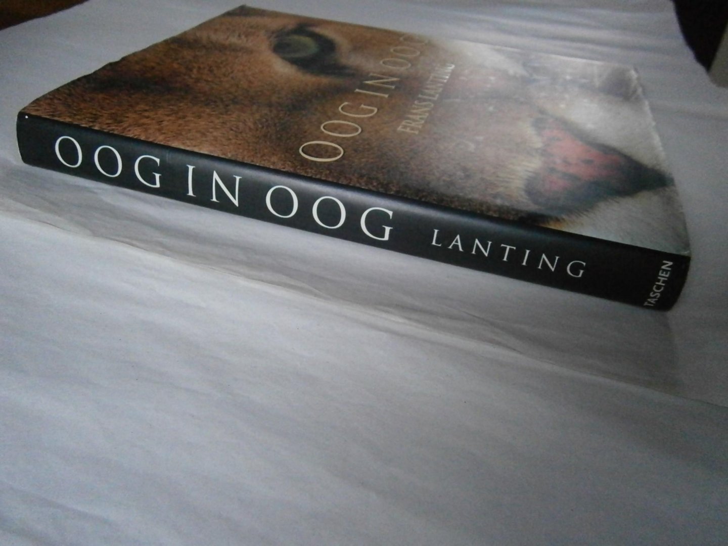 Lanting, Frans, Christine Eckstrom - Oog in oog