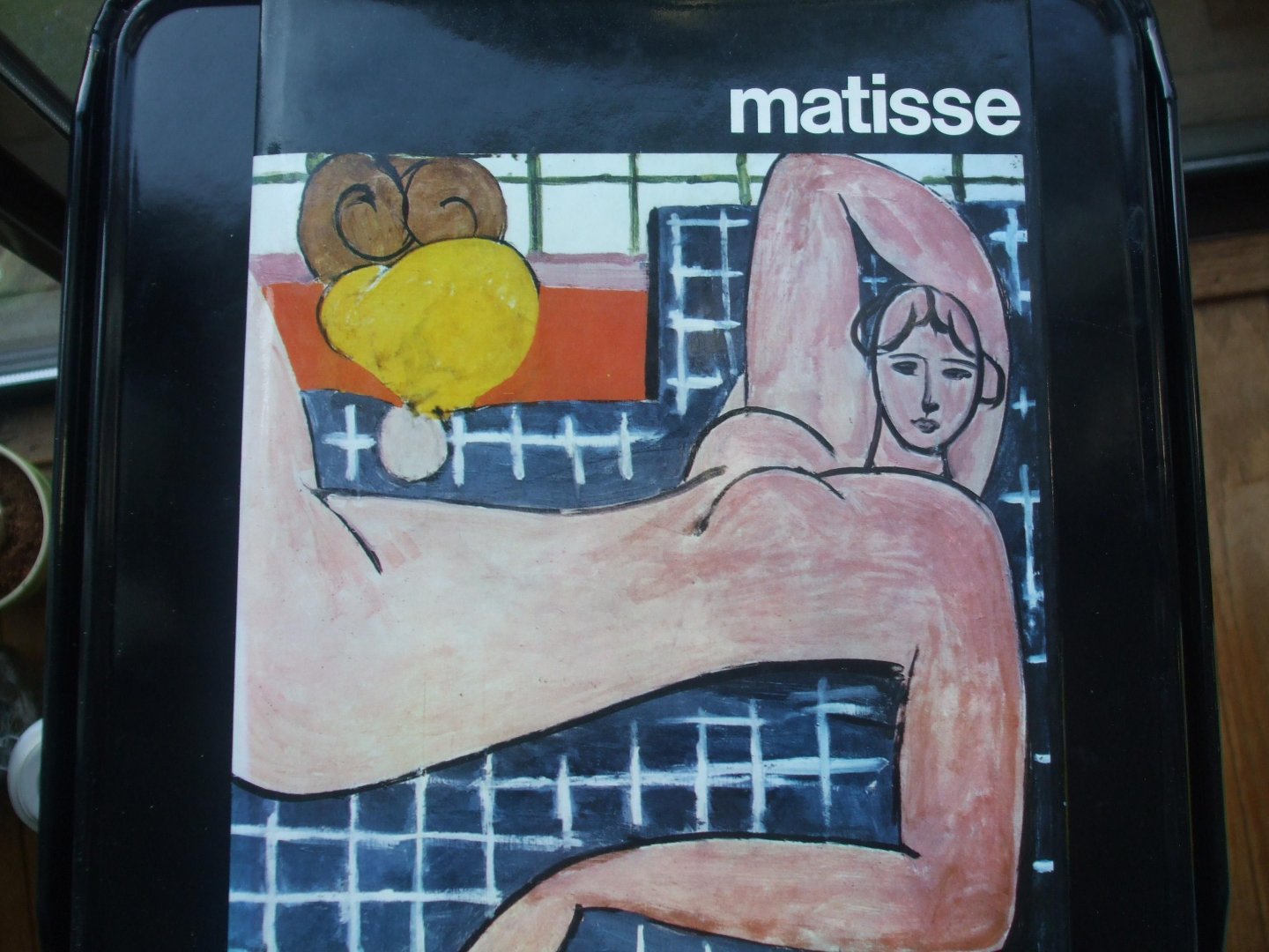 Sandra Orienti - Matisse