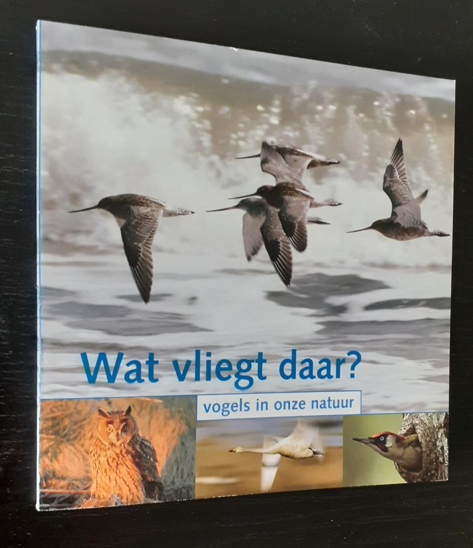 Haan, N. de (tekst) / Slijper, H.J. (tekeningen) - Wat vliegt daar? Vogels in onze natuur
