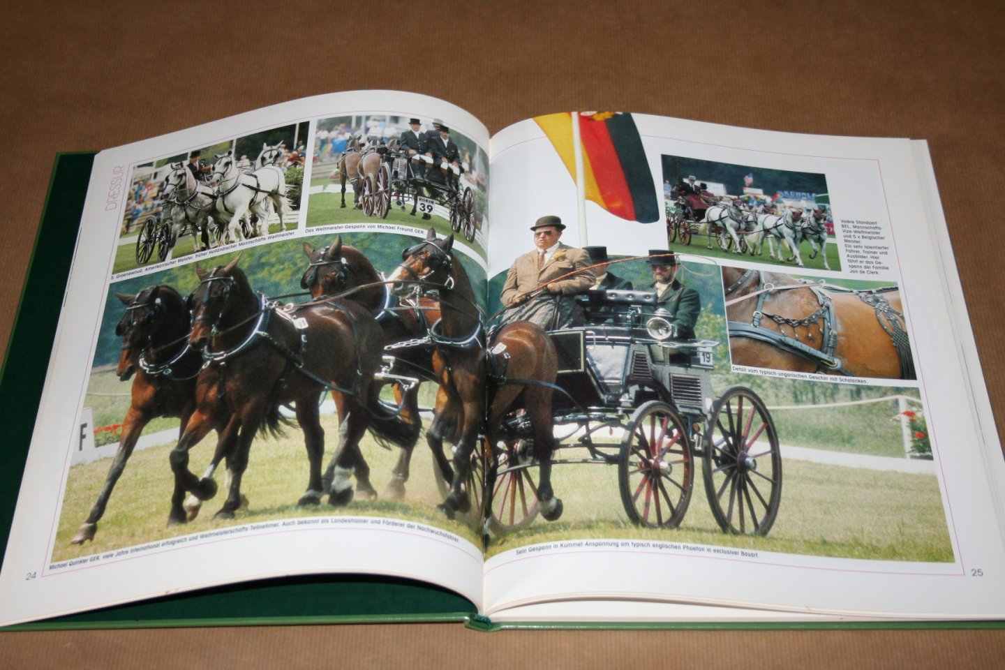 Erich Hermann - Faszination Fahren-- Erlebnis Fahrsport