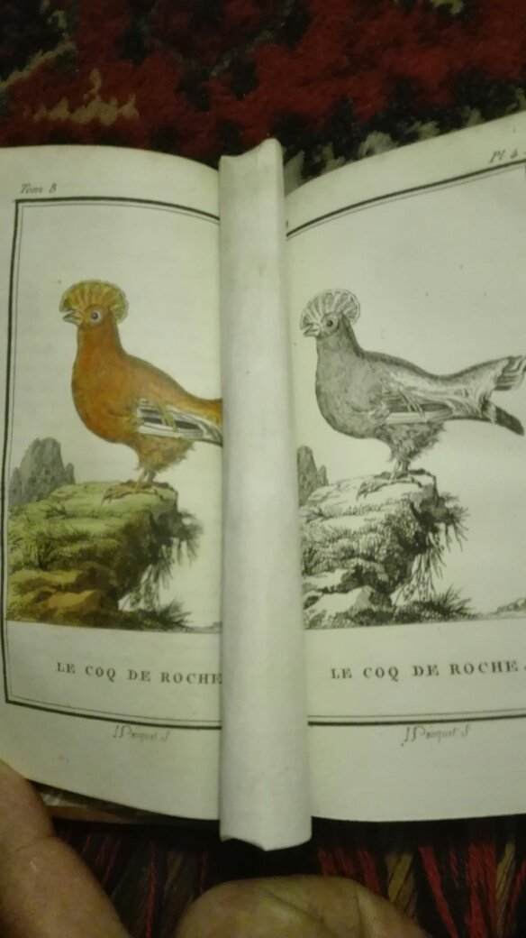 Buffon e.a, - Histoire Naturelle, par Buffon; Dédidiée au Citoyen Lacepede.