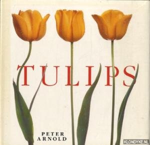 Arnold, Peter (fotografie) - Tulips
