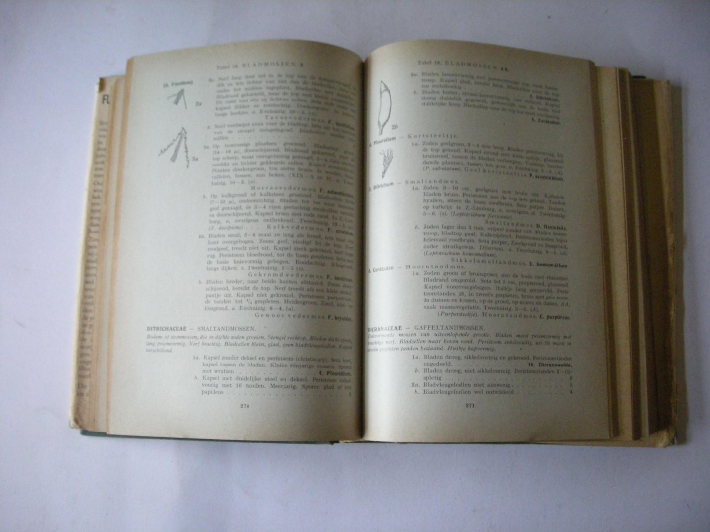 Besemer, Dr A.F.H. en Wijk, Prof.Dr R.van der - Flora en Fauna, bevattende determinatietabellen van de algemeen in Nederland waargenomen Planten en Gewervelde Dieren