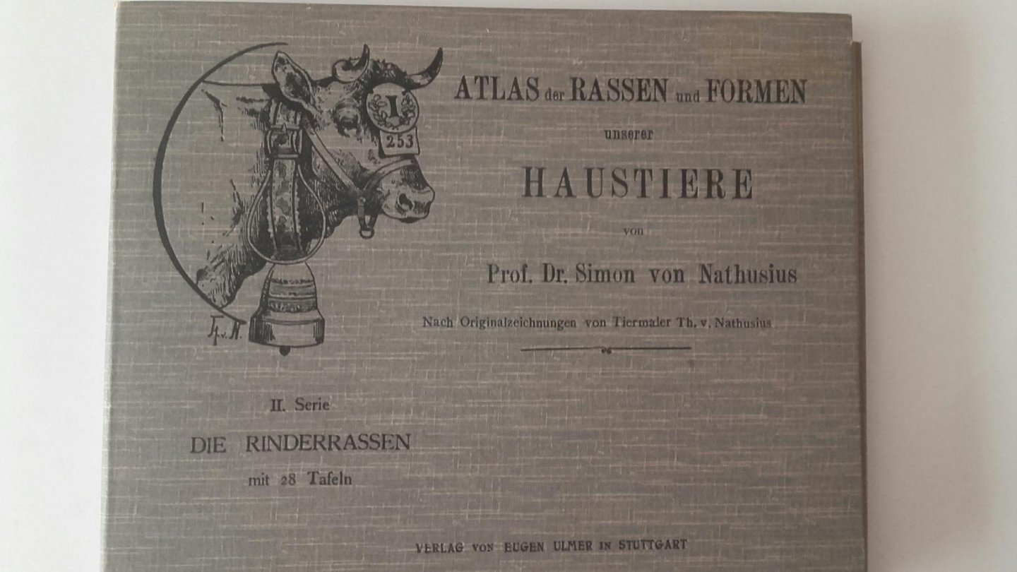 Nathusius, Prof. Dr. Simon von - Atlas der Rassen und Formen unserer Haustiere, die Rinderrassen
