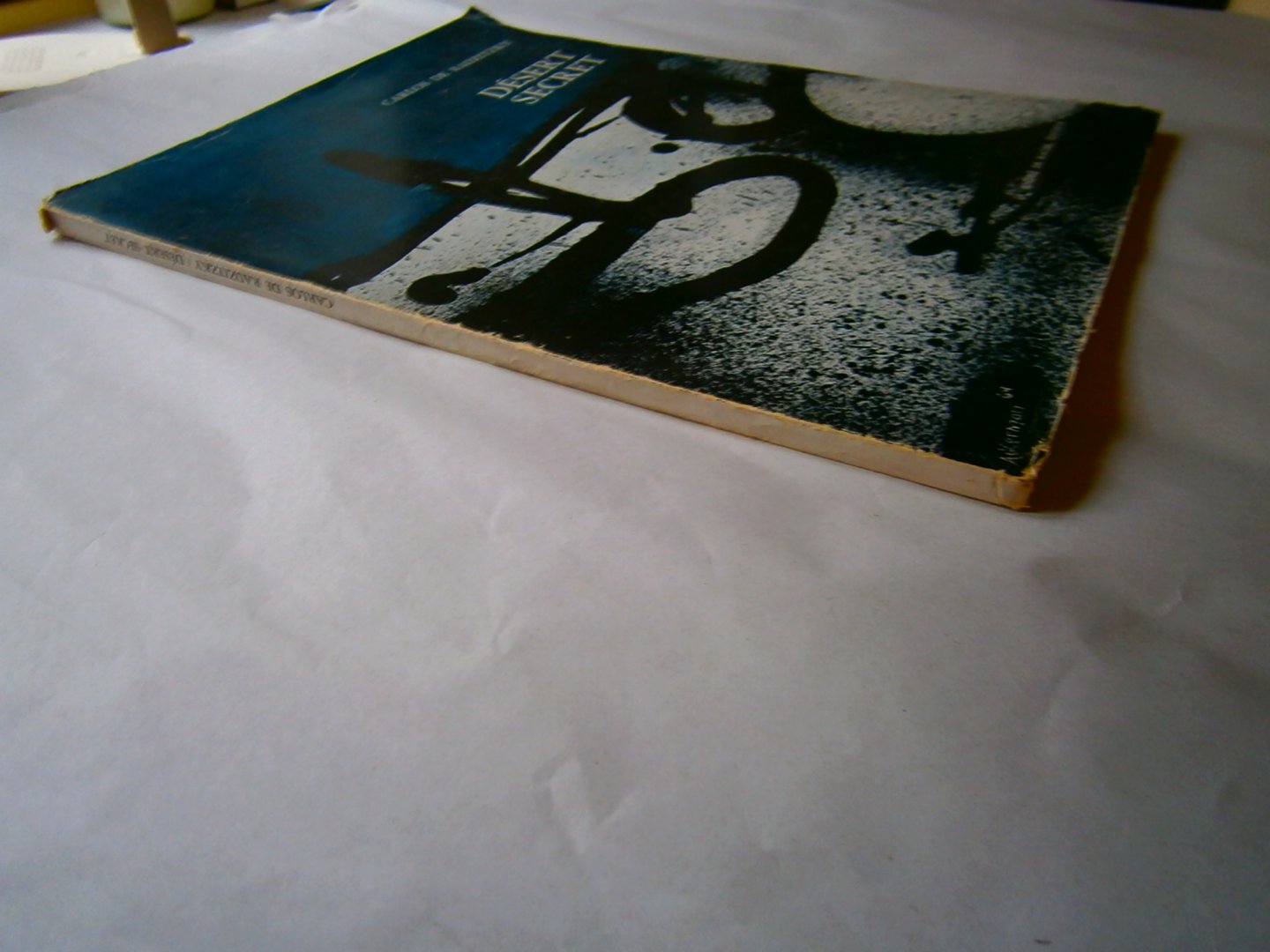 Radzitzky, Carlos de - Desert secret