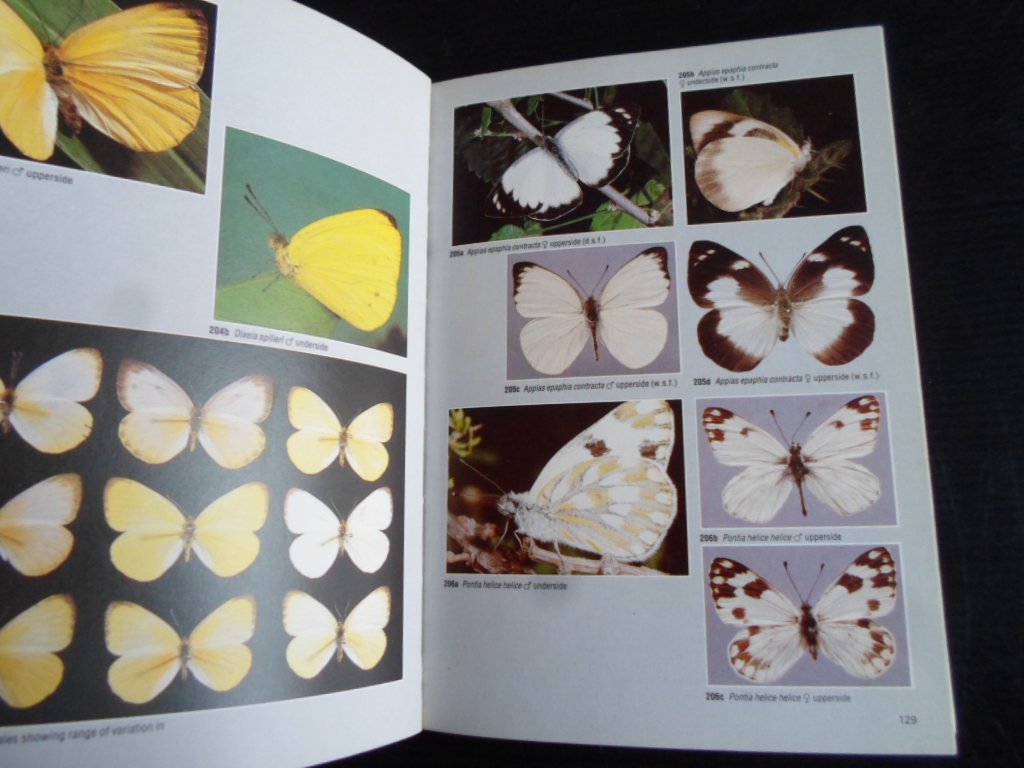 Migdoll, Ivor - Field Guide to the Butterflies of Southern Africa