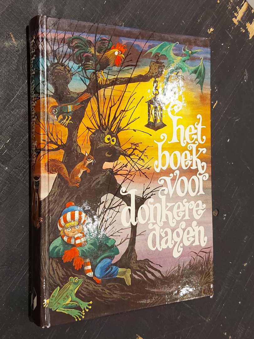 Het boek voor donkere dagen
