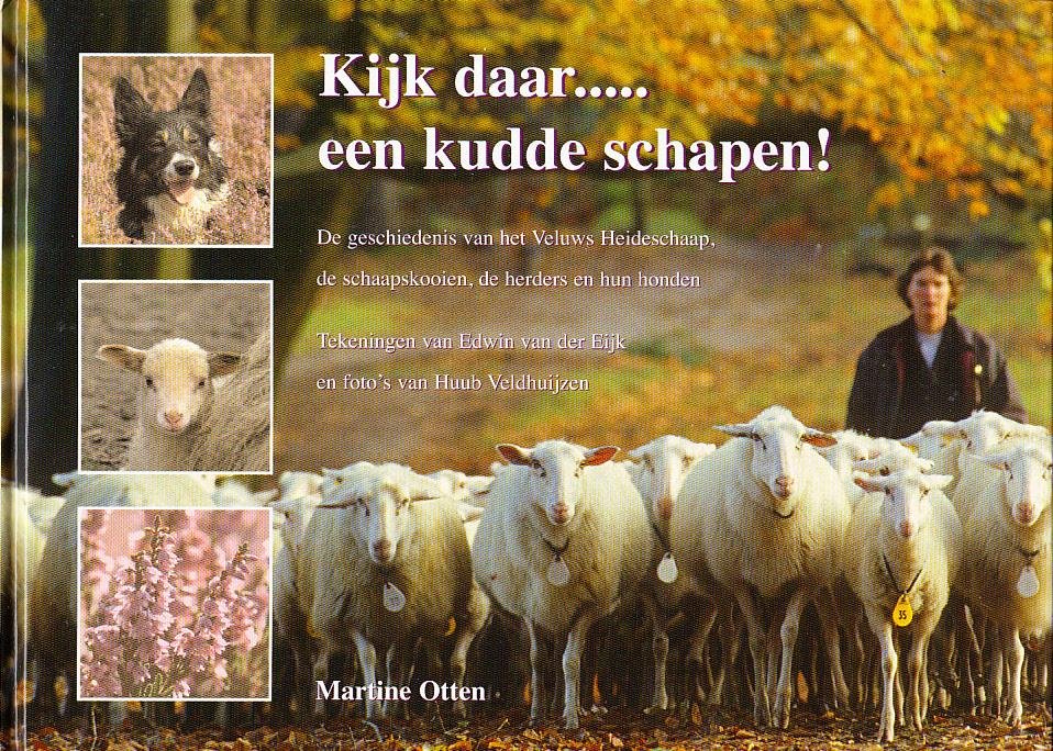 Martine Otten - Kijk daar.... een kudde schapen! geschiedenis van het Veluws Heideschaap, de schaapskooien, de herders en hun honden
