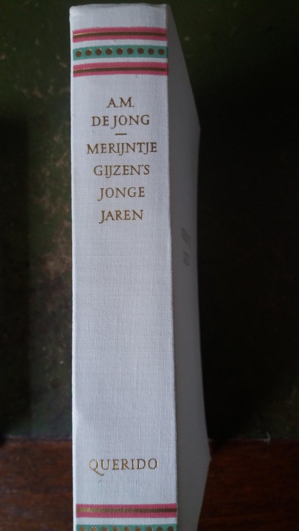 A.M. de Jong - Merijntje Gijzens jonge jaren