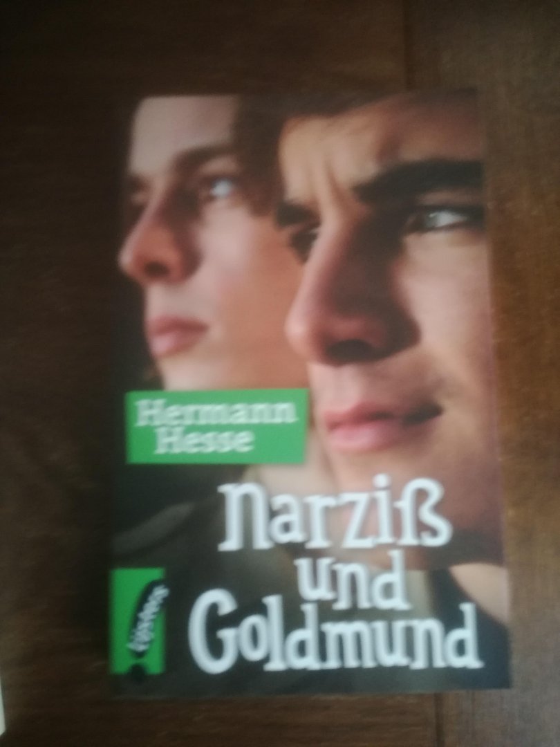 Hesse, Hermann - Narziss und Goldmund