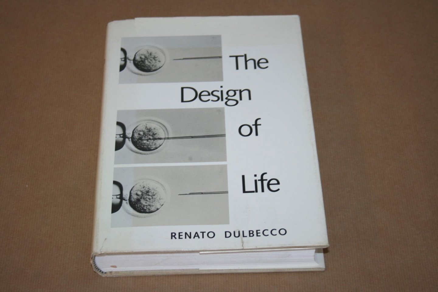 Renato Dulbecco - The design of life