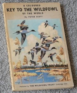 Scott, Peter - A coloured key to the wildfowl of the world