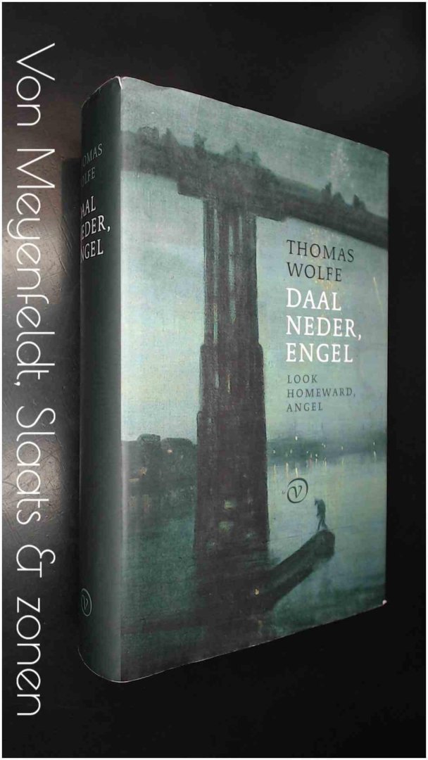 Wolfe, Thomas - Daal neder, engeld - Over het bedolven leven