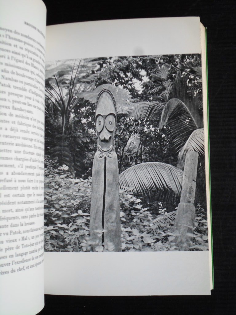 Larsen, May et Henry - Brousse Maléfique