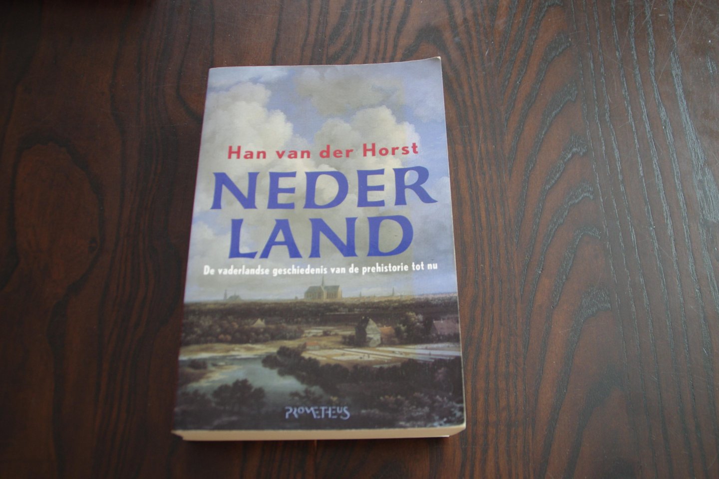 Horst, H. van der - Nederland / de vaderlandse geschiedenis van de prehistorie tot nu