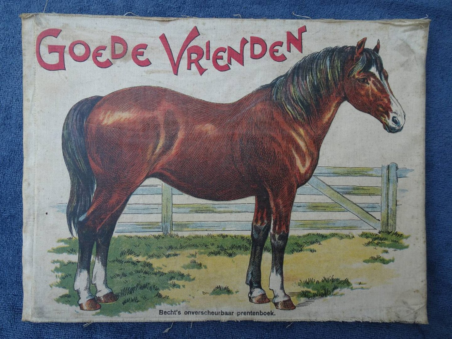 N.n.. - Goede vrienden. Becht's onverscheurbaar prentenboek.