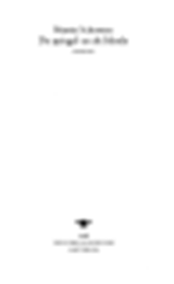 De spiegel en de blinde - novelle